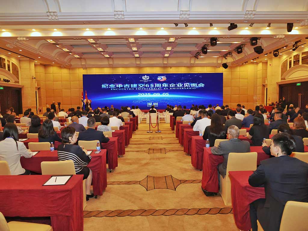 Díaz-Canel dialoga con empresarios de China interesados en Cuba