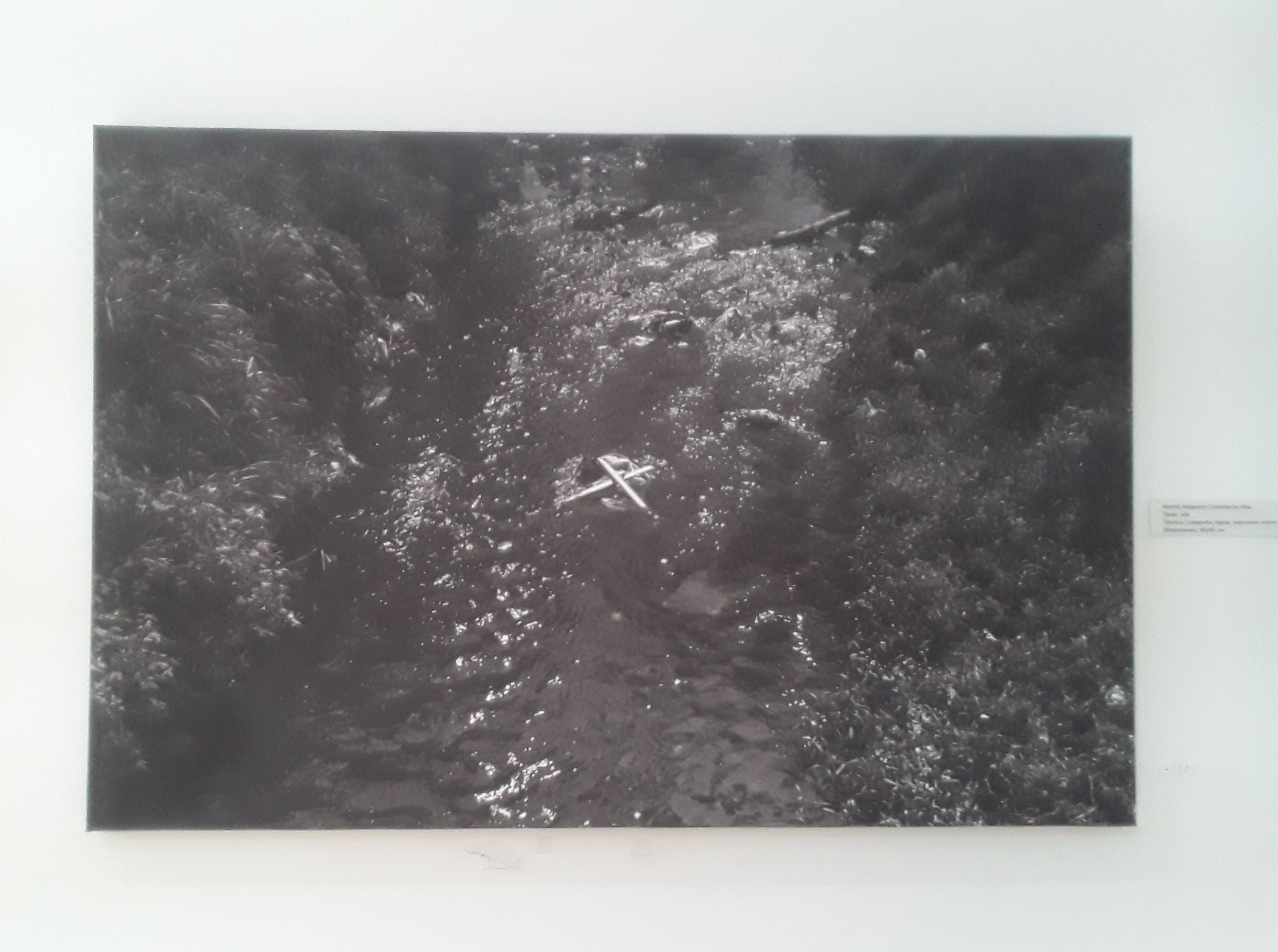 Premian en su inauguración el Salón "Desafío Santa Clara"