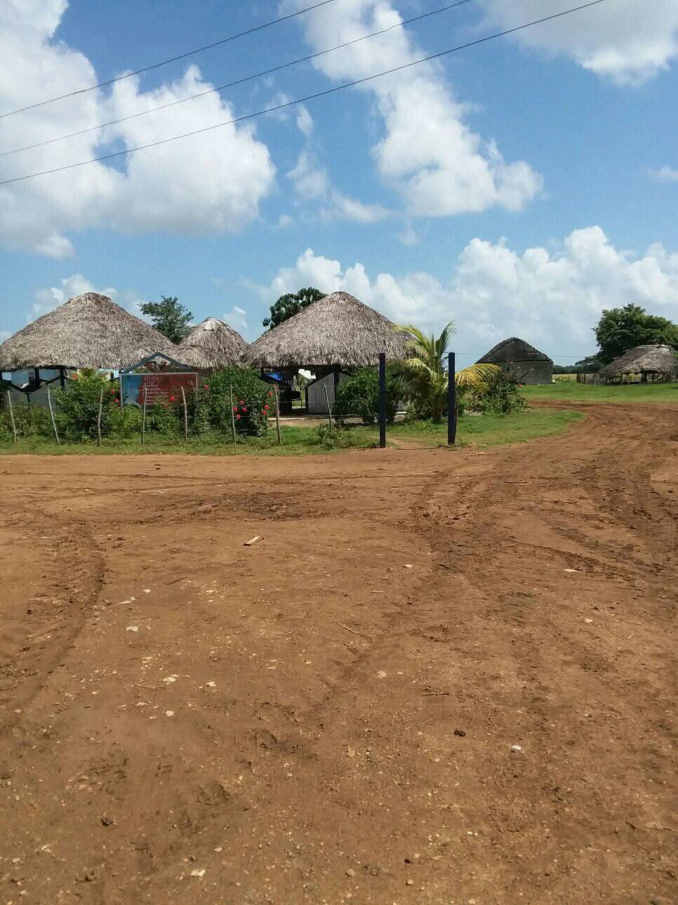 UBPC La Piedra, bastión cañero en Villa Clara entre desafíos e innovación
