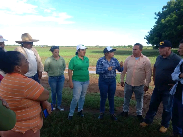Recorren máximas autoridades villaclareñas objetivos de la agricultura en Santo Domingo 