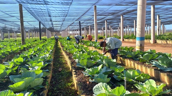 Jardín Botánico Nacional acoge X Encuentro Iberoamericano de Turismo Rural y Agroturismo