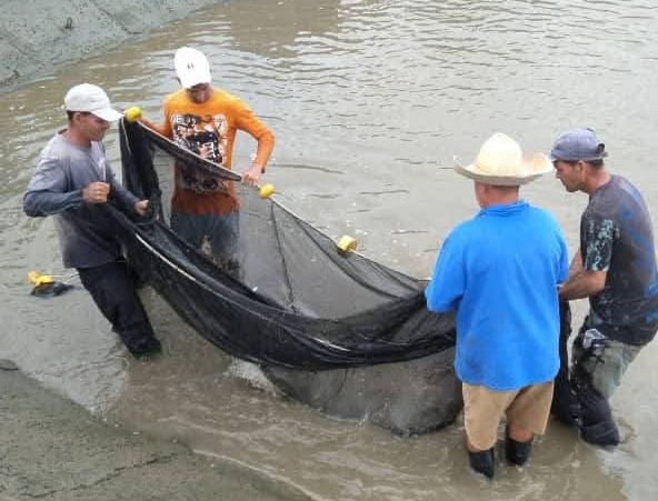 En medio de desafíos el sector pesquero villaclareño celebra su jornada que cierra el ocho de abril