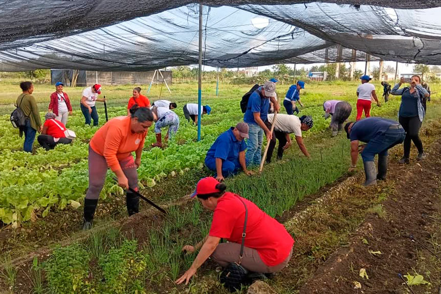 Realizan en Santa Clara trabajo voluntario en saludo al 4 de abril