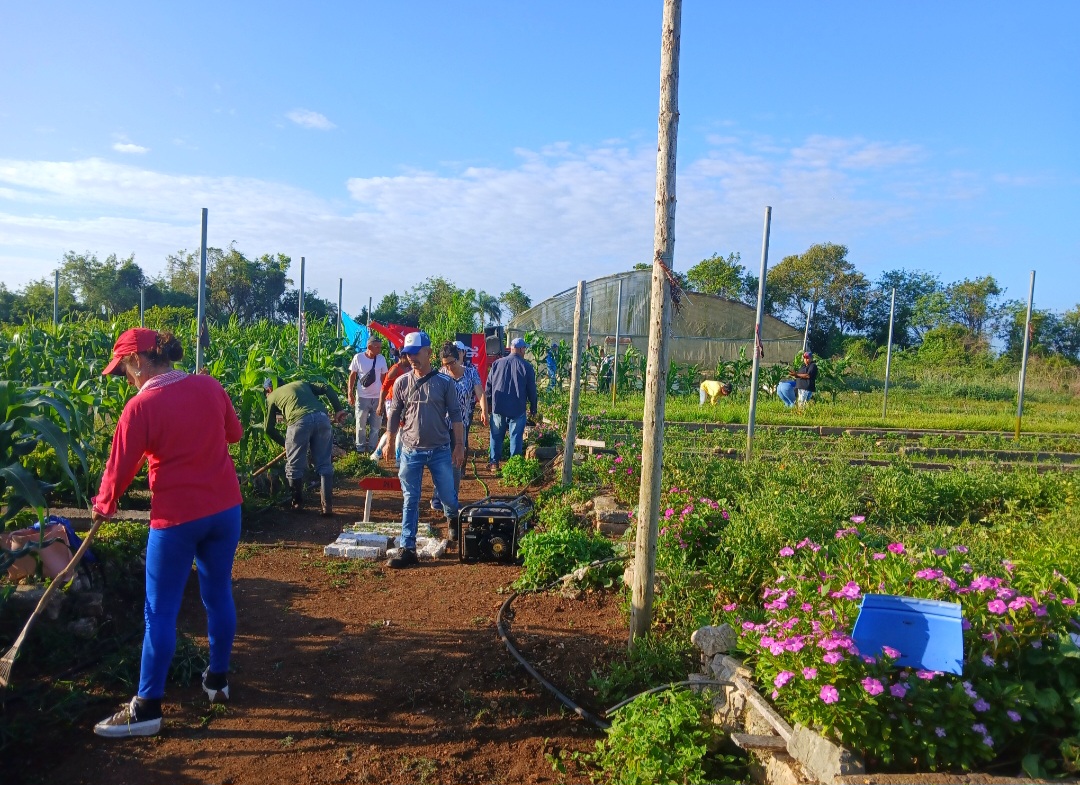Jornada productiva y firma patriótica en Quemado de Güines