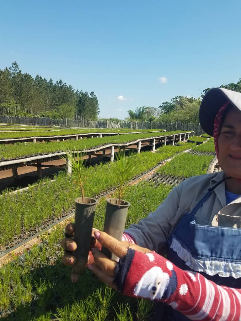 Apuesta Empresa Agroforestal de Villa Clara por soberanía energética basada en la ciencia