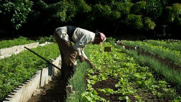 Publican Decreto sobre la revalorización de la ruralidad