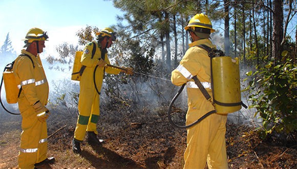 En acción, campaña nacional contra incendios forestales