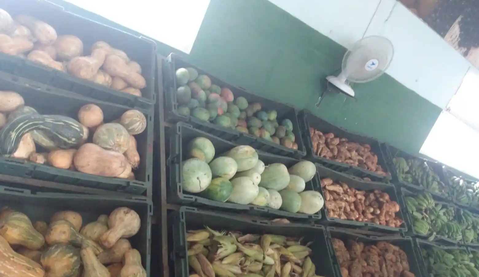 Problemas en la comercialización de productos agrícolas, podrían tener solución