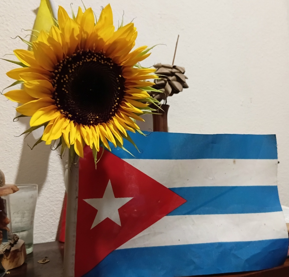 Cineastas del mundo expresan su solidaridad con Cuba