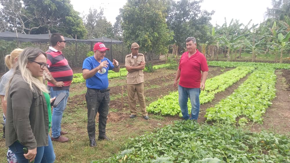 Constatan autoridades santaclareñas respuesta del pueblo y de actores económicos ante contingencia energética 