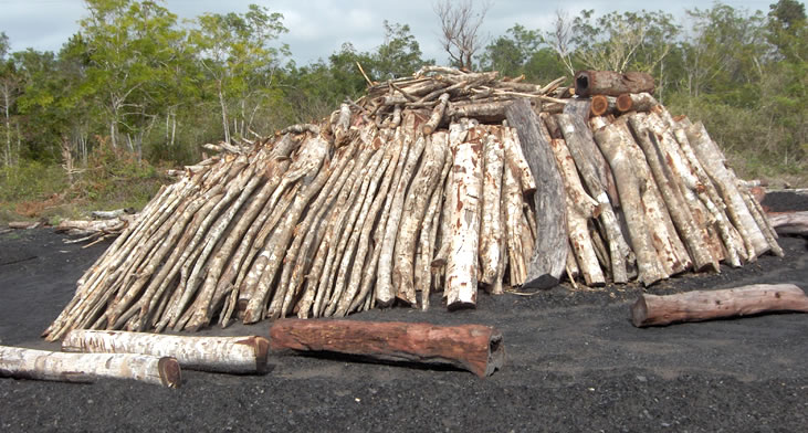 Si algo no debiera faltar es el carbón