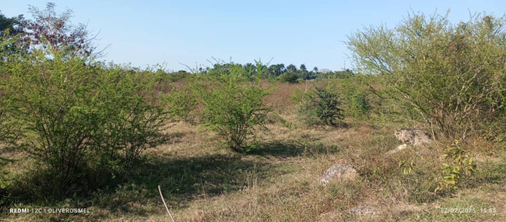 Si algo no debiera faltar es el carbón