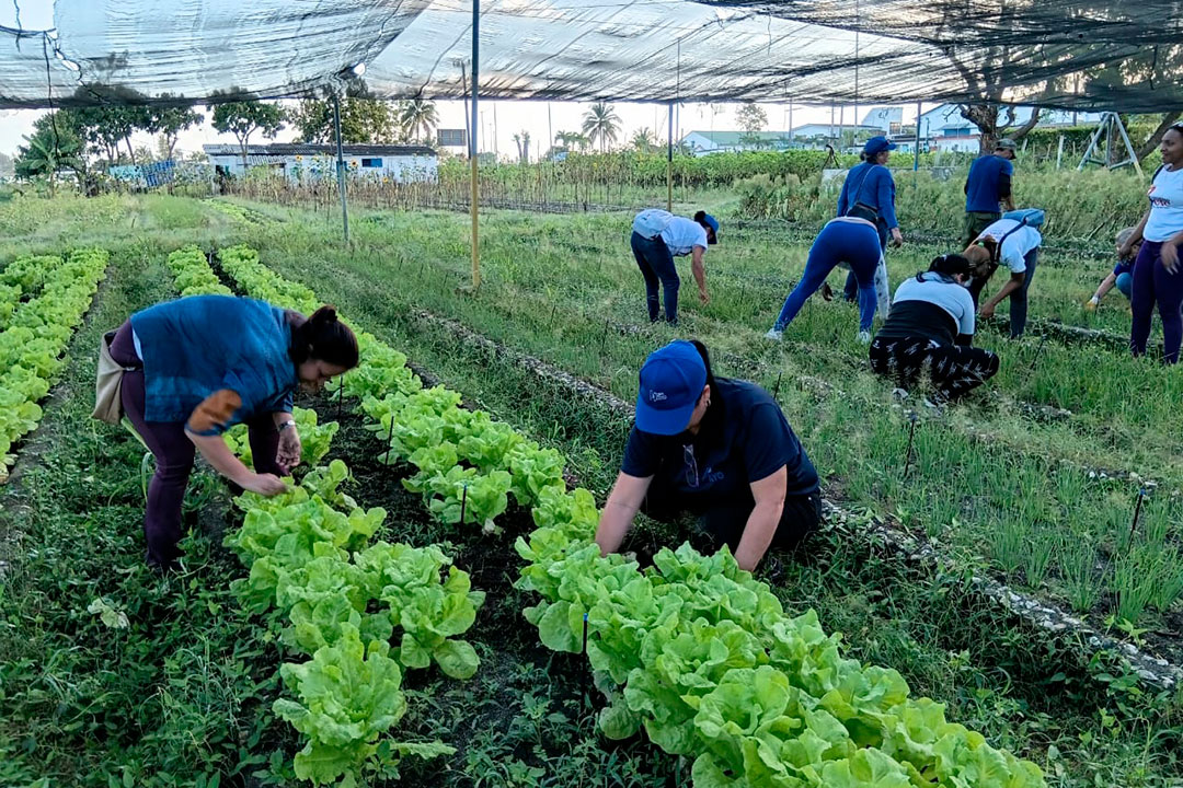 Jornada de trabajo voluntario en Villa Clara