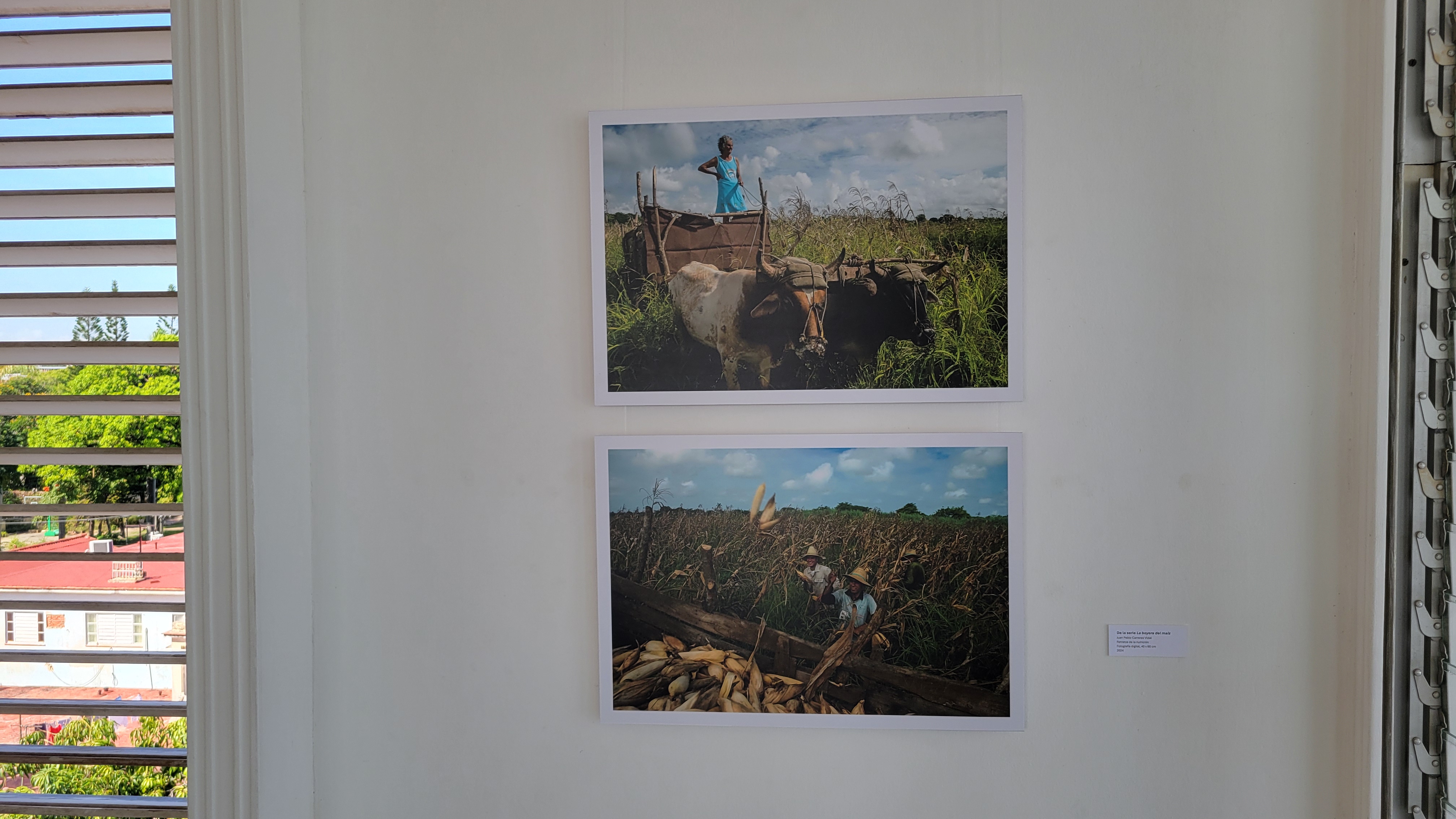Convoca Programa Mundial de Alimentos en Cuba a concursos de artes visuales