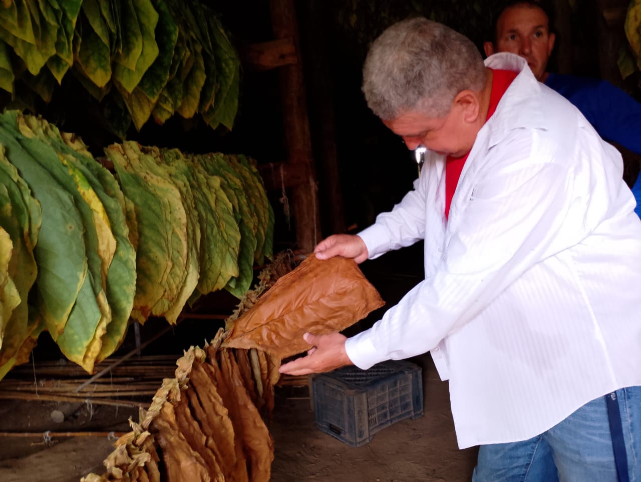 “La Estrella” antes opaca que ahora da luz a los tabacaleros 
