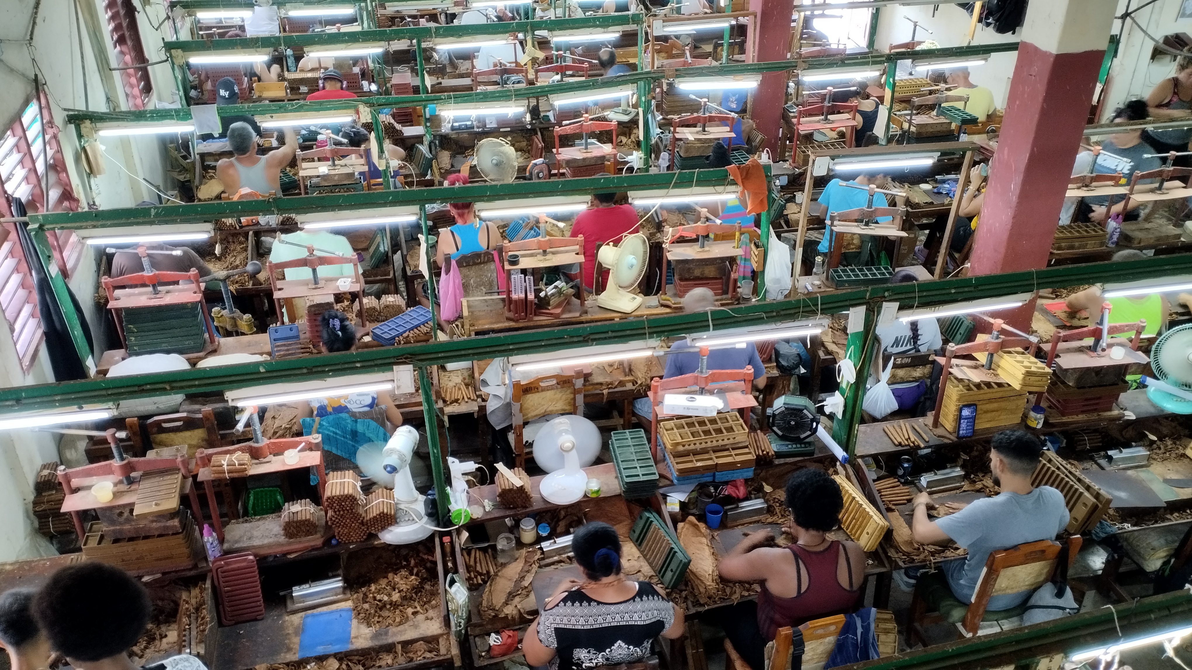 Manos que sostienen tradición desde la UEB Tabaco Torcido en Encrucijada