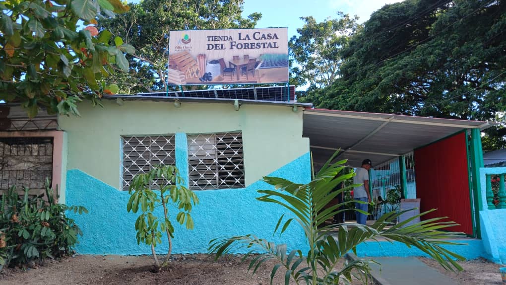 Villa Clara estrenará primera tienda de su tipo en Cuba para venta de madera y subproductos forestales