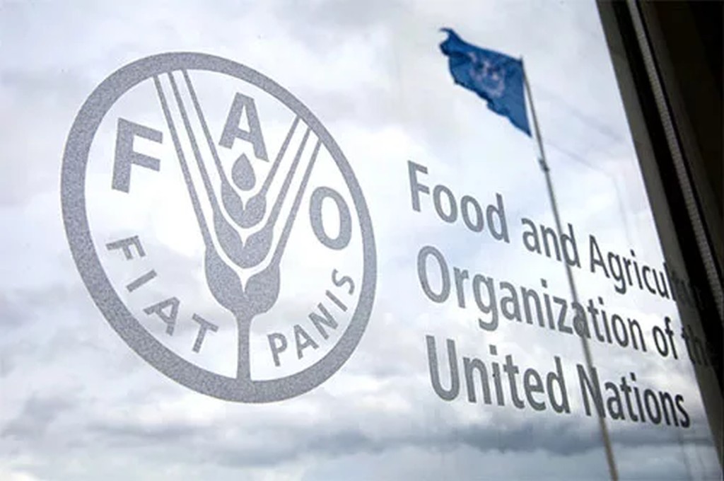 Cuba promueve agroalimentación sostenible en foro mundial de la FAO