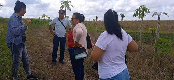 Cincuenta años del Poder Popular en Remedios: La historia también se mide por las respuestas