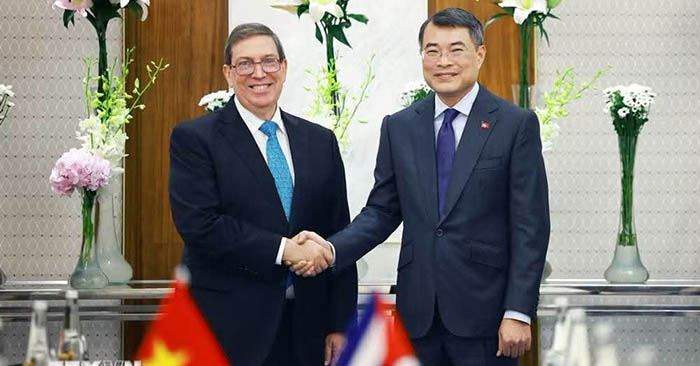 Canciller cubano sostiene reuniones de trabajo durante XVIII Cumbre de los BRICS